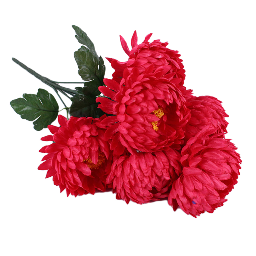 Croyez Notes Sacrifices Plante - Home Decor Website avis et prix